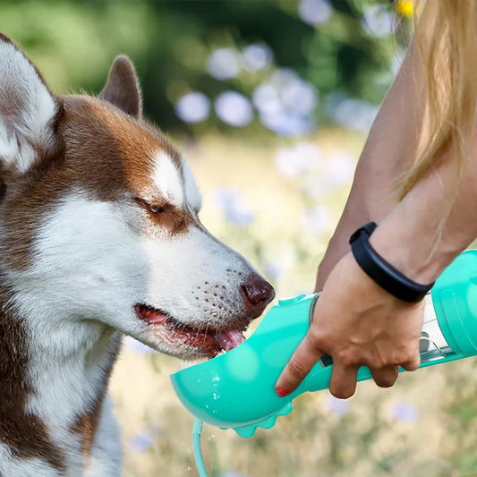 Dog Water Bottle | Dog Water Dispenser | MagatPog